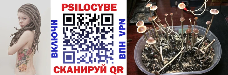 Псилоцибиновые грибы прущие грибы  Ужур 